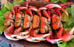 Cupom de desconto - 28% OFF em Bacia de Caranguejo com 6 Unidades