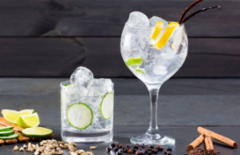 Cupom de desconto - 40% OFF em Gin Tônica