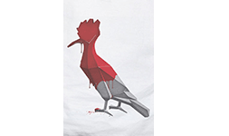 Cupom de desconto - Camiseta Pica-Pau Pintado Por R$129